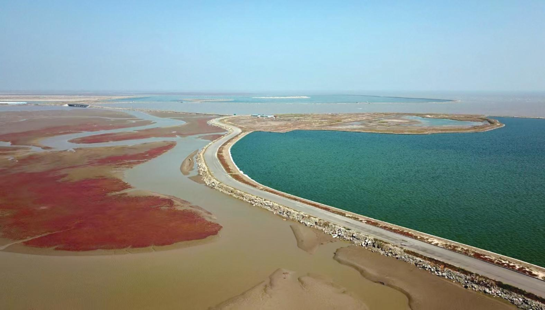 凌海红海滩