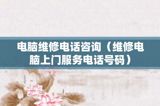 电脑维修电话咨询（维修电脑上门服务电话号码）