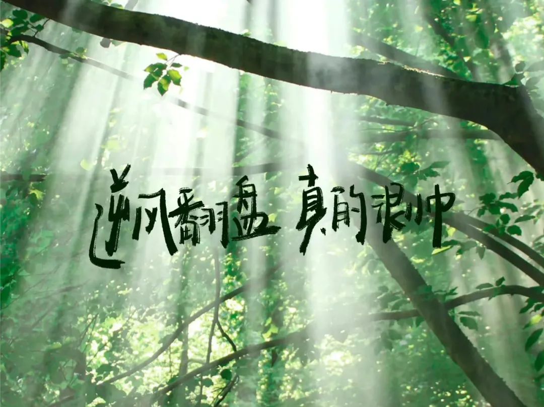 平板壁纸|励志ipad壁纸高清4k横屏