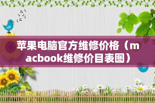 苹果电脑官方维修价格（macbook维修价目表图）
