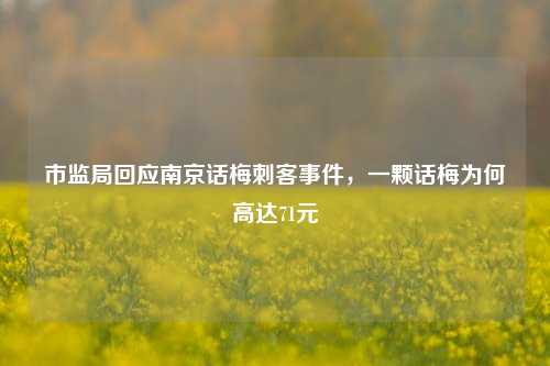 市监局回应南京话梅刺客事件，一颗话梅为何高达71元