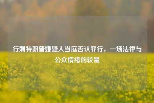 行刺特朗普嫌疑人当庭否认罪行，一场法律与公众情绪的较量