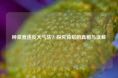 种菜竟违反大气法？探究背后的真相与误解