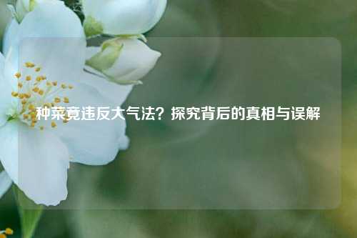 种菜竟违反大气法？探究背后的真相与误解