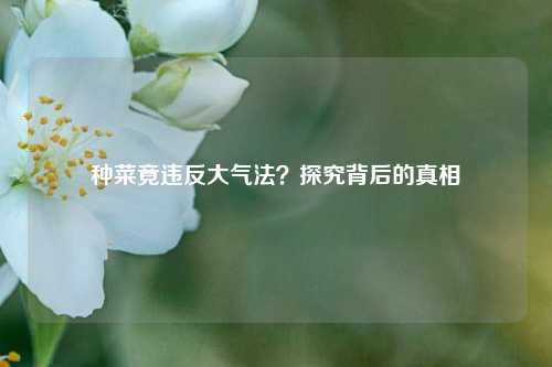 种菜竟违反大气法？探究背后的真相