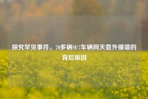 探究罕见事件，70多辆SU7车辆同天意外撞墙的背后原因