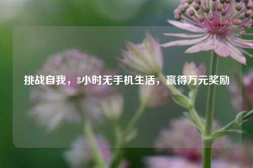 挑战自我，8小时无手机生活，赢得万元奖励