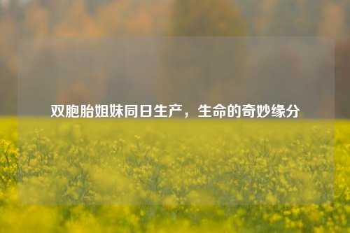 双胞胎姐妹同日生产，生命的奇妙缘分