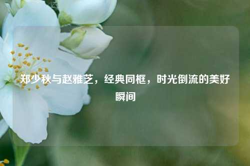 郑少秋与赵雅芝，经典同框，时光倒流的美好瞬间