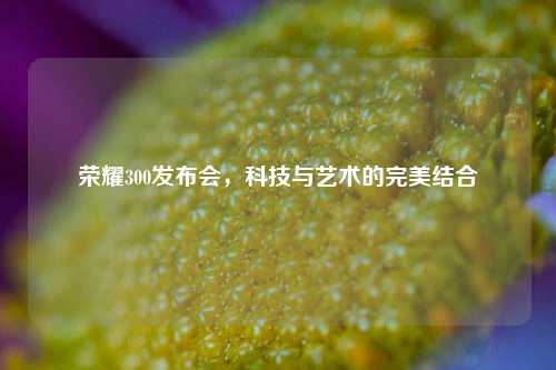 荣耀300发布会，科技与艺术的完美结合