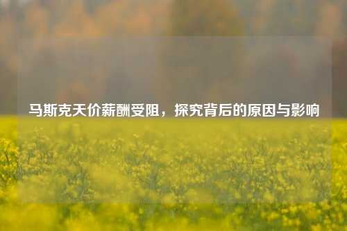 马斯克天价薪酬受阻，探究背后的原因与影响