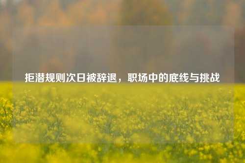 拒潜规则次日被辞退，职场中的底线与挑战