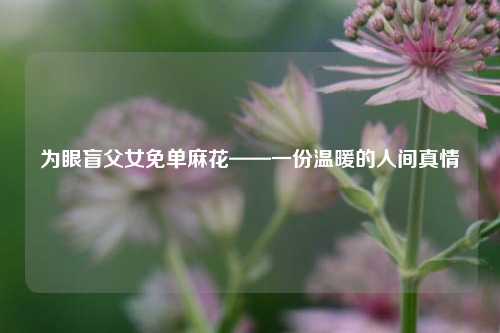 为眼盲父女免单麻花——一份温暖的人间真情