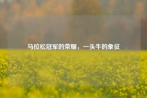 马拉松冠军的荣耀，一头牛的象征