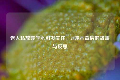 老人私放暖气水引发关注，28吨水背后的故事与反思