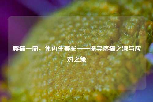 腰痛一周，体内生姜长——探寻疼痛之源与应对之策