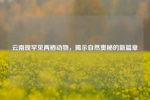 云南现罕见两栖动物，揭示自然奥秘的新篇章