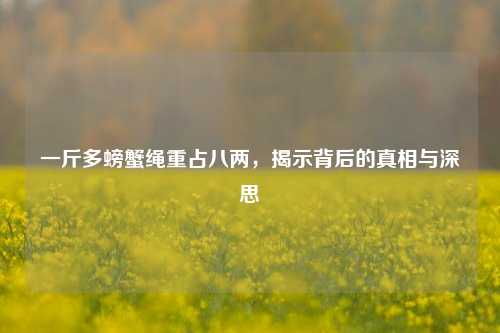 一斤多螃蟹绳重占八两，揭示背后的真相与深思