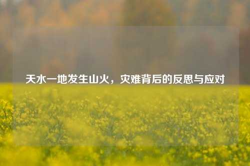 天水一地发生山火，灾难背后的反思与应对