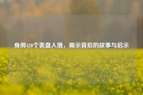 身绑420个表盘入境，揭示背后的故事与启示