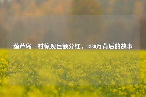 葫芦岛一村惊现巨额分红，1880万背后的故事