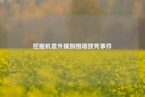 挖掘机意外撞倒围墙致死事件