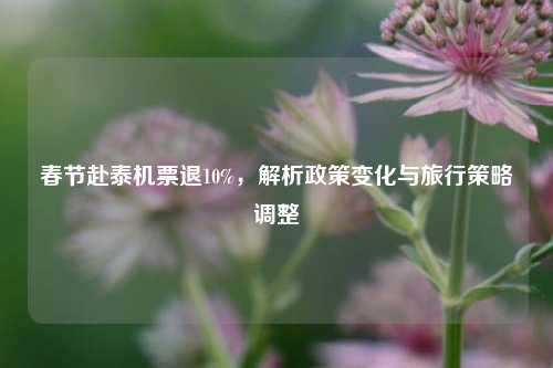 春节赴泰机票退10%，解析政策变化与旅行策略调整